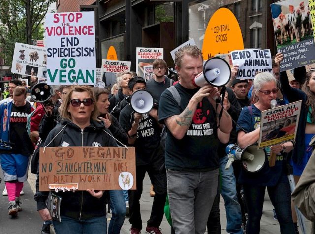 Vegan Politics