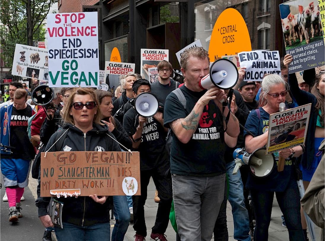 Vegan Politics